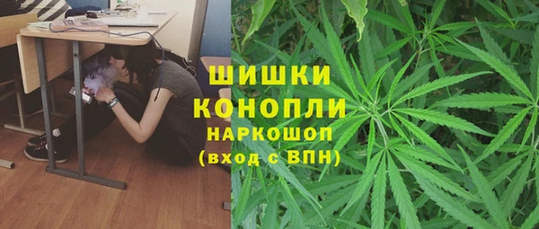 мяу мяу мука Покачи