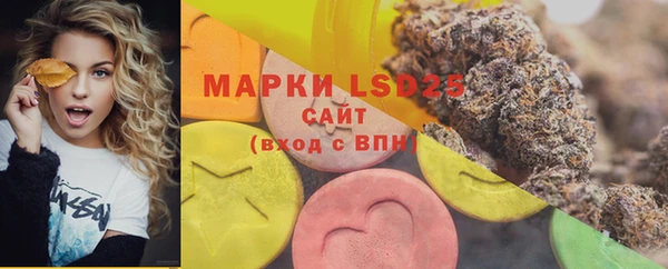 амф Аркадак