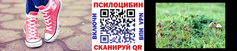 Псилоцибиновые грибы ЛСД  Суворов 